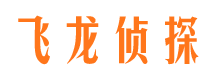 东海资产调查